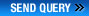 Send Query